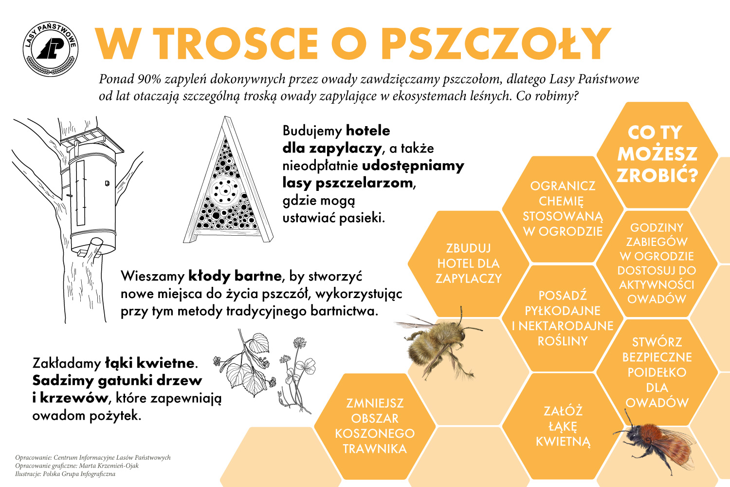 Grafika sposoby, dzięki którym możemy pomóc pszczołom.