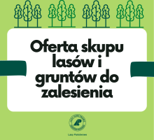 Oferta skupu lasów i gruntów do zalesienia