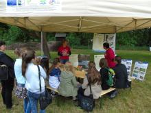 Piknik podsumowujący program edukacyjny