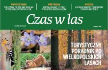 Czas w las - przewodnik turystyczny