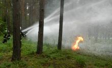 Wspólne ćwiczenia straży pożarnej z leśnikami