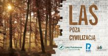 Las poza cywilizacją