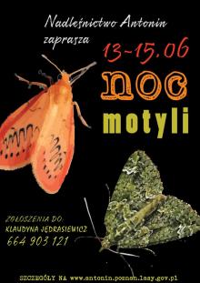 Noc motyli w Nadleśnictwie Antonin!