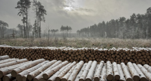 Spotkanie informacyjne dotyczące nowych zasad sprzedaży drewna - zapraszamy!