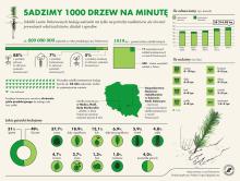 Odnowienia antonińskich lasów zakończone sukcesem