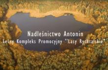 Film promocyjny Nadleśnictwa Antonin