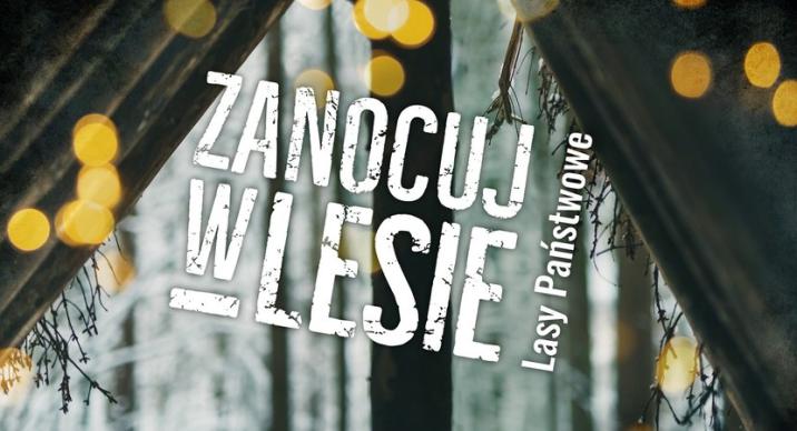 Zdjęcie&#x20;promocyjne&#x20;dotyczące&#x20;programu&#x20;zanocuj&#x20;w&#x20;lesie