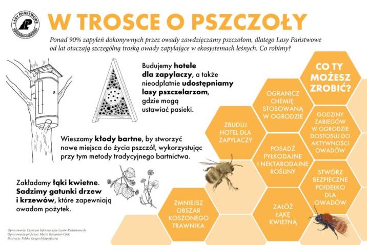 Grafika&#x20;&#x22;W&#x20;trosce&#x20;o&#x20;pszczoły&#x22;&#x2e;