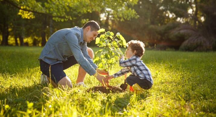 Fot&#x2e;&#x20;Mark&#x20;Nazh&#x2f;shutterstock&#x2e;com&#x20;zdjęcie&#x20;przedstawia&#x20;mężczyznę&#x20;z&#x20;dzieckiem&#x20;sadzących&#x20;drzewo&#x2e;