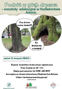 "Podróż w głąb drzewa" - warsztaty edukacyjne w Nadlesnictwie Antonin