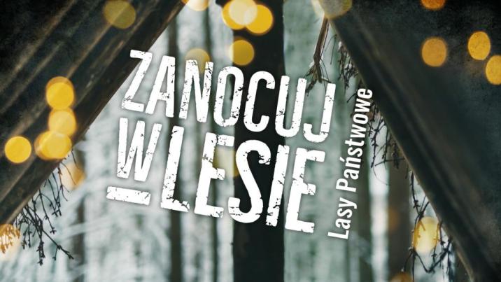 Grafika&#x20;&#x22;Zanocuj&#x20;w&#x20;lesie&#x22;