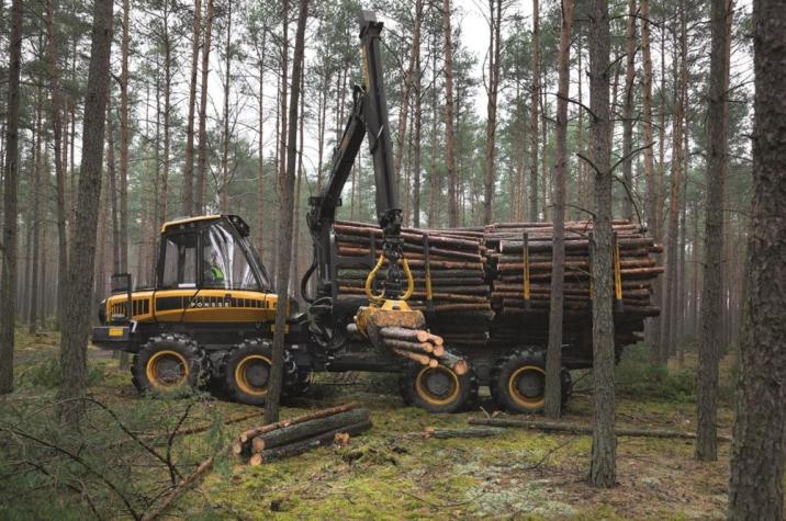 Zdjęcie&#x20;przedstawia&#x20;proces&#x20;zrywki&#x20;drewna&#x20;przy&#x20;pomocy&#x20;specjalistycznej&#x20;maszyny&#x2e;&#x20;Fot&#x2e;&#x20;K&#x2e;&#x20;Moroz