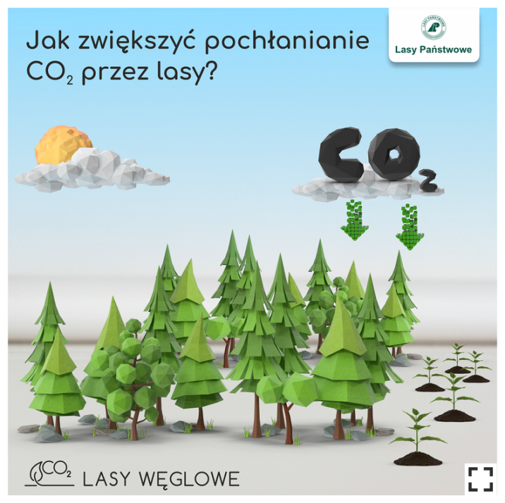 Grafika&#x2e;&#x20;Narysowane&#x20;drzewa&#x2c;&#x20;zarówno&#x20;iglaste&#x20;jak&#x20;i&#x20;liściaste&#x2c;&#x20;nad&#x20;nimi&#x20;chmurka&#x2c;&#x20;na&#x20;której&#x20;znajduje&#x20;się&#x20;napis&#x20;CO2&#x2e;&#x20;Od&#x20;chmurki&#x20;w&#x20;stronę&#x20;drzew&#x20;idą&#x20;strzałki&#x2e;&#x20;Na&#x20;grafice&#x20;również&#x20;logo&#x20;Lasów&#x20;Państwowych&#x20;i&#x20;logo&#x20;projektu&#x20;&#x22;Lasy&#x20;Węglowe”&#x2e;&#x20;Źródło&#x3a;&#x20;DGLP